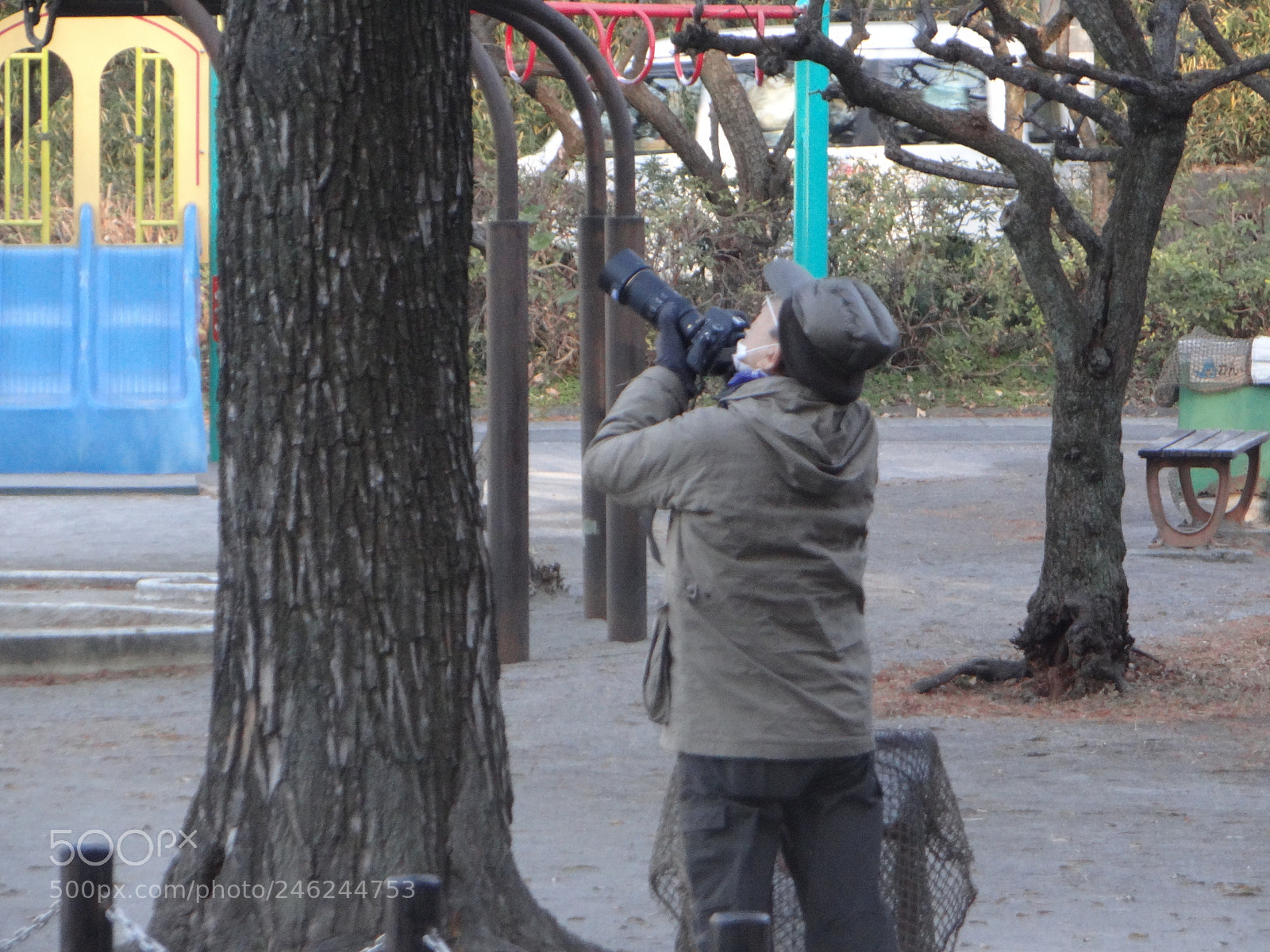 Sony Cyber-shot DSC-HX100V sample photo. Dsc photography