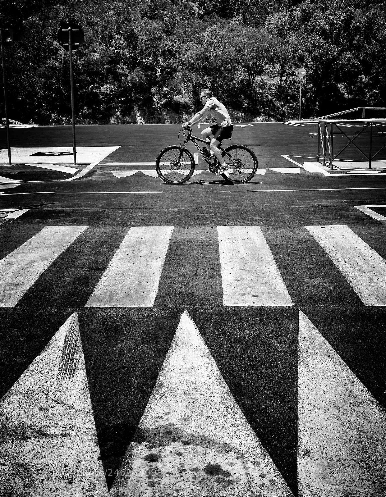 Nikon D5600 sample photo. Man rides bike no.4 photography