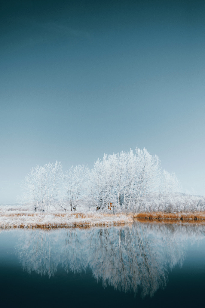 cabin in the cottonwoods by Sam Brockway on 500px.com