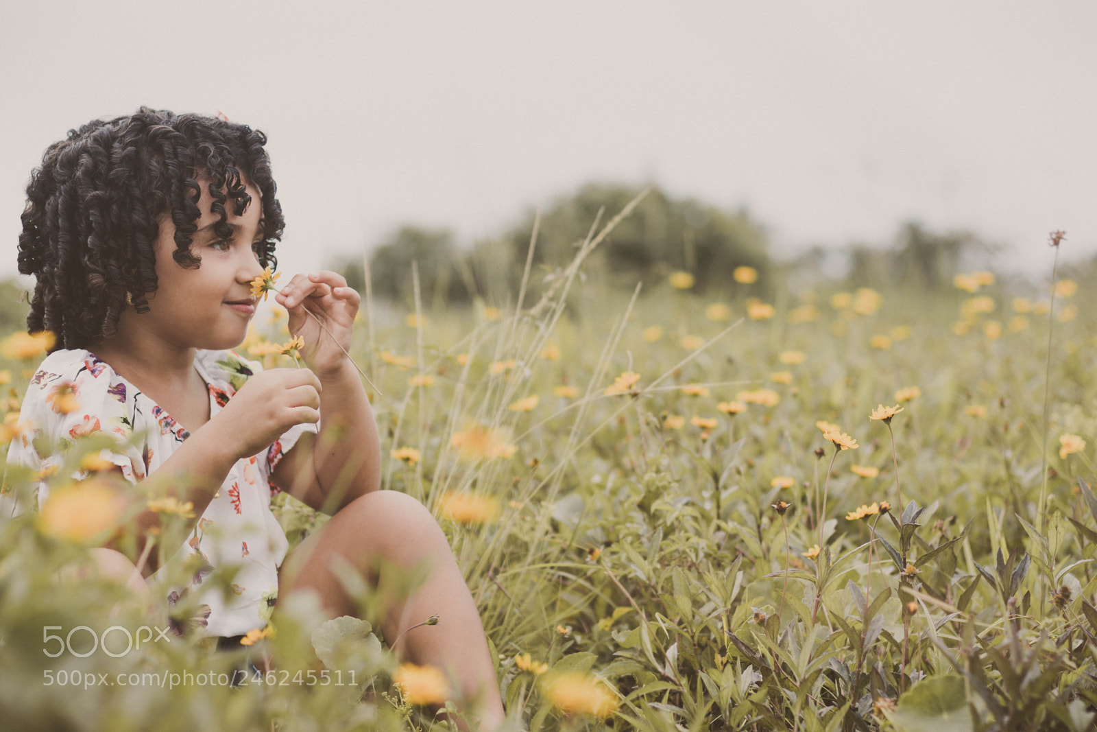 Canon EOS 7D Mark II sample photo. Vitória cristine photography