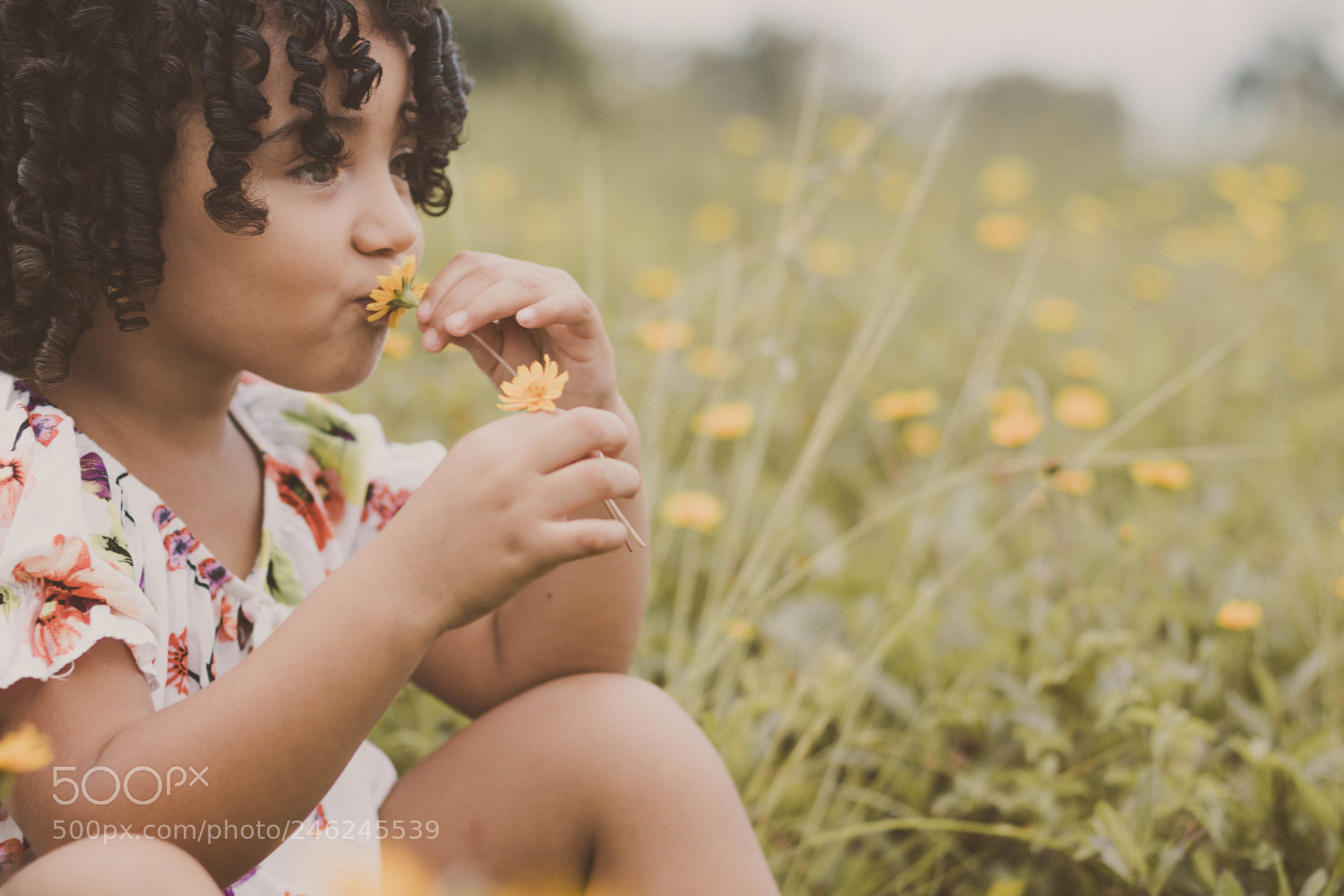 Canon EOS 7D Mark II sample photo. Vitória cristine photography