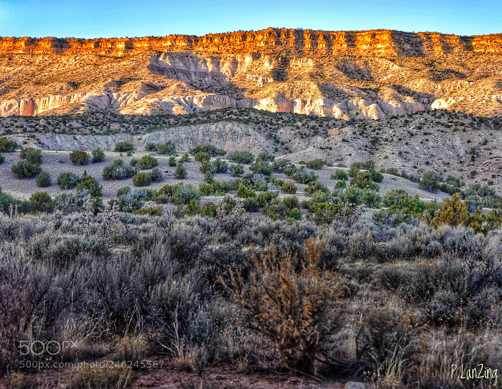 Nikon D810 sample photo. Cimarron ridge photography