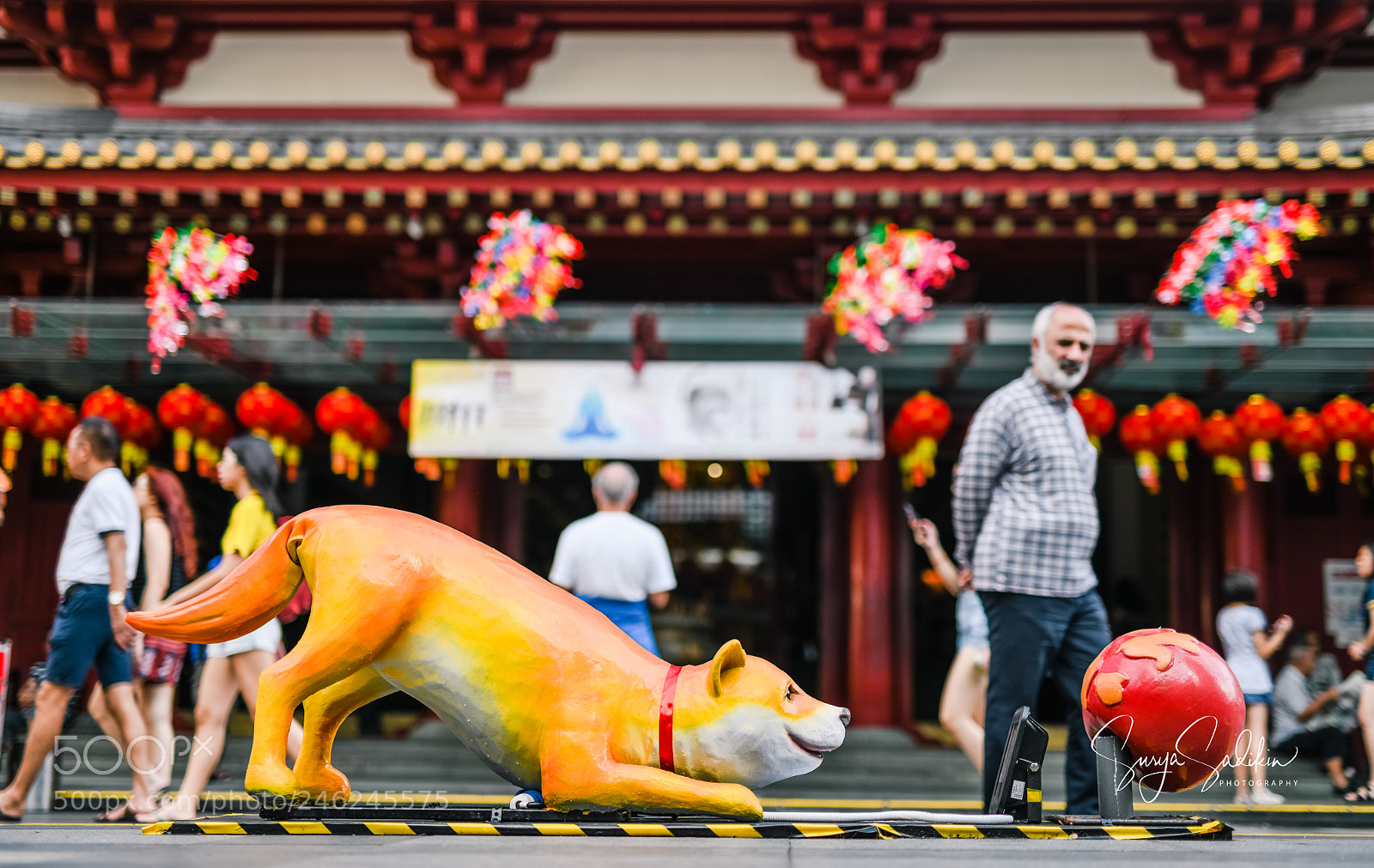 Nikon D850 sample photo. Welcoming the year of photography