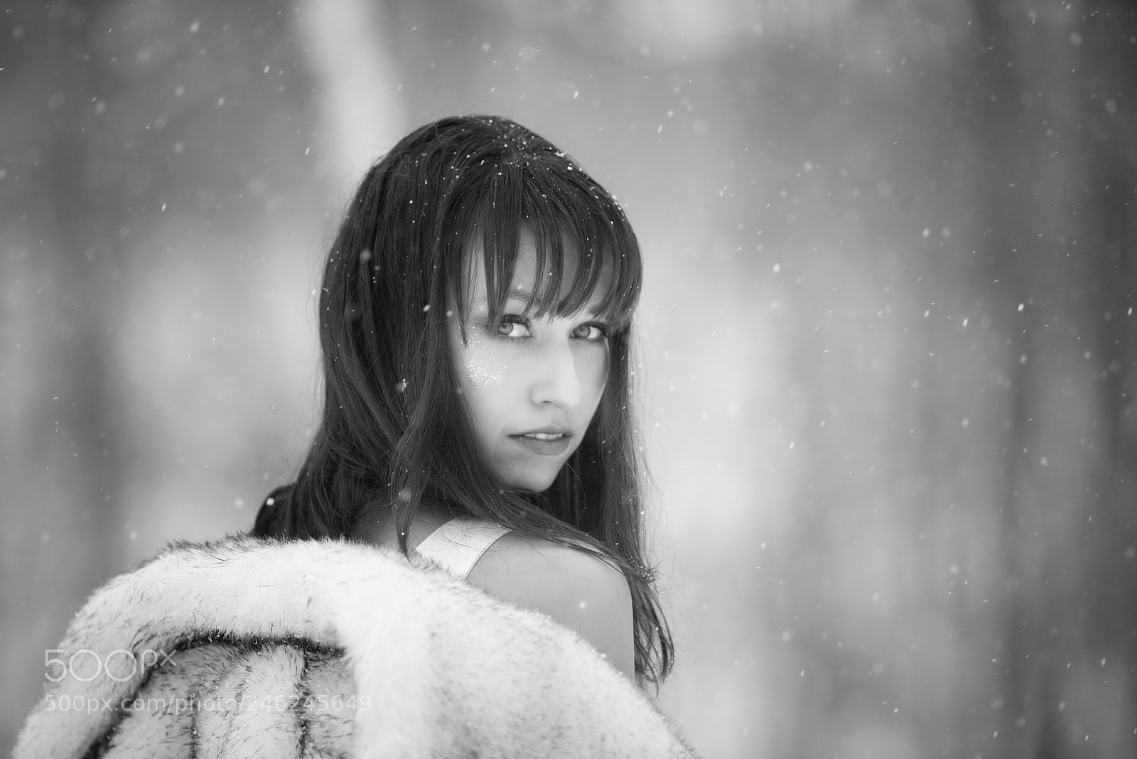 Nikon D610 sample photo. Untitled photography
