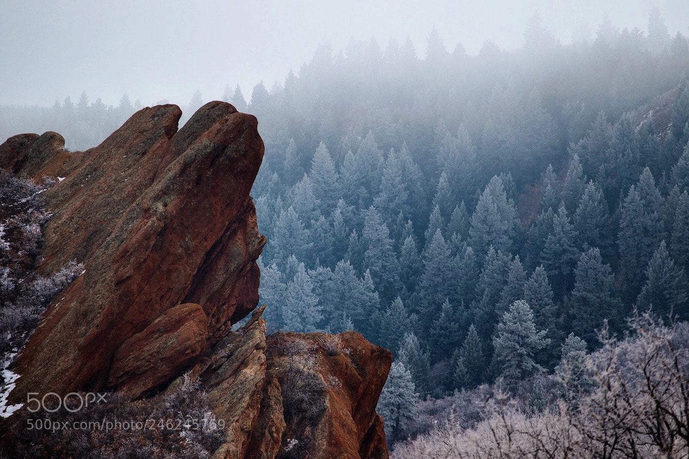 Canon EOS 7D Mark II sample photo. Frosty mornings photography