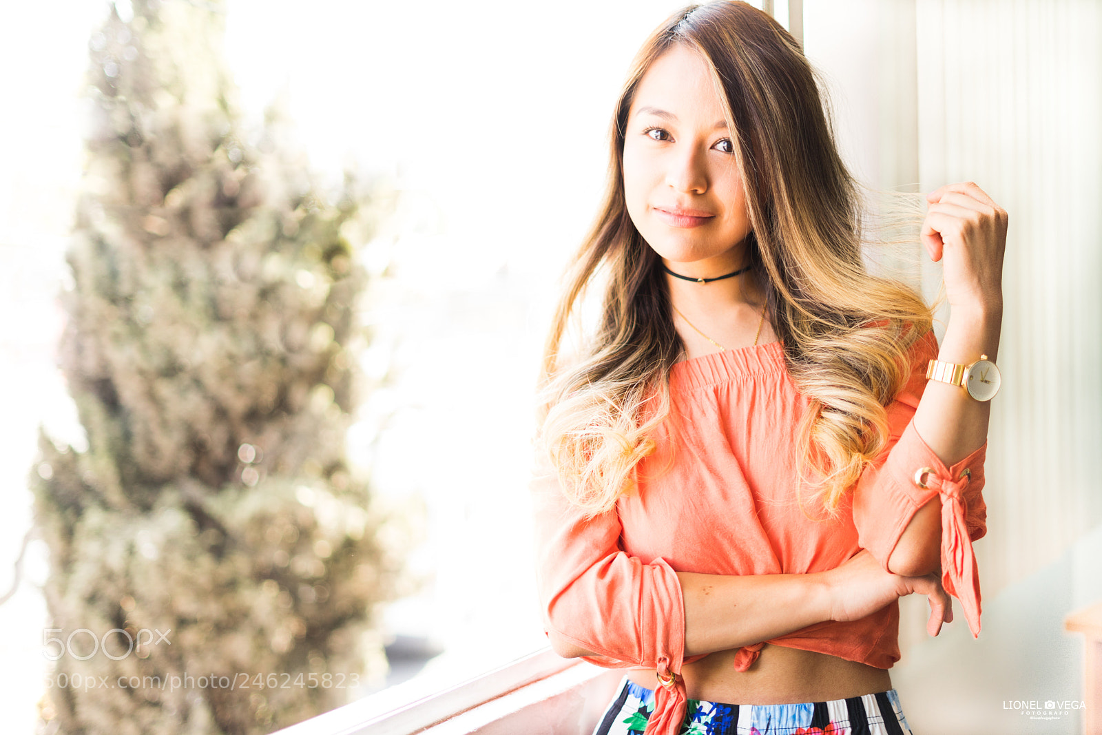 Sony a7 II sample photo. Untitled photography