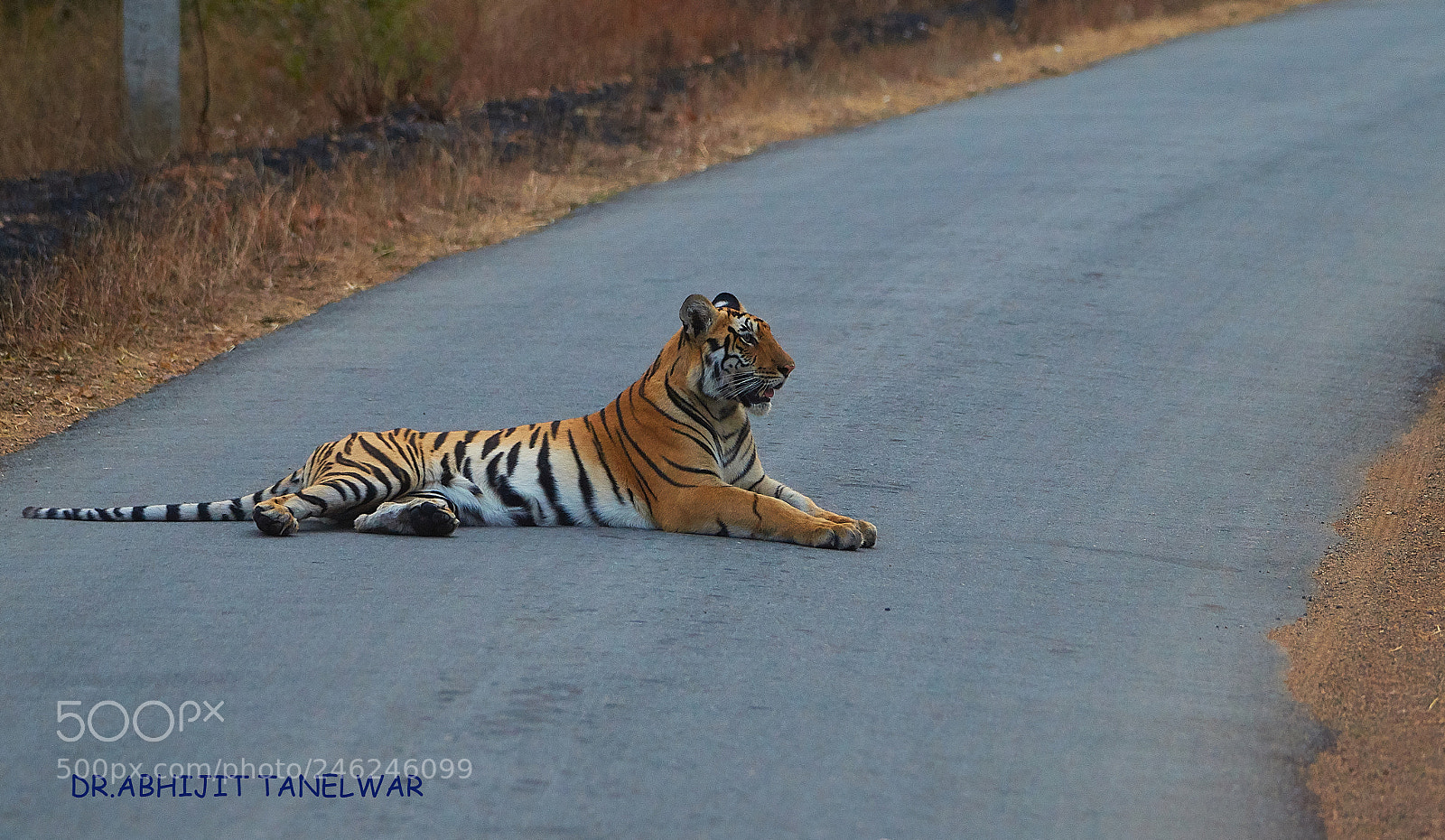 Sony SLT-A58 sample photo. Dangerous curve photography