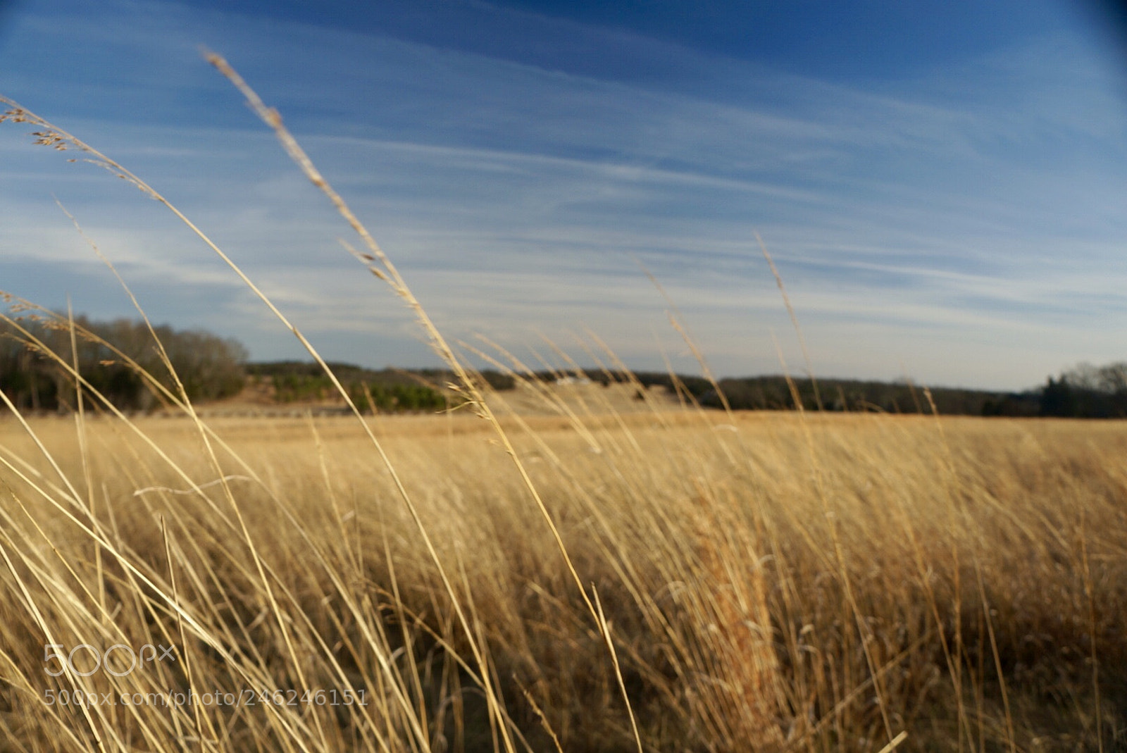 Sony Alpha NEX-5R sample photo. Untitled photography