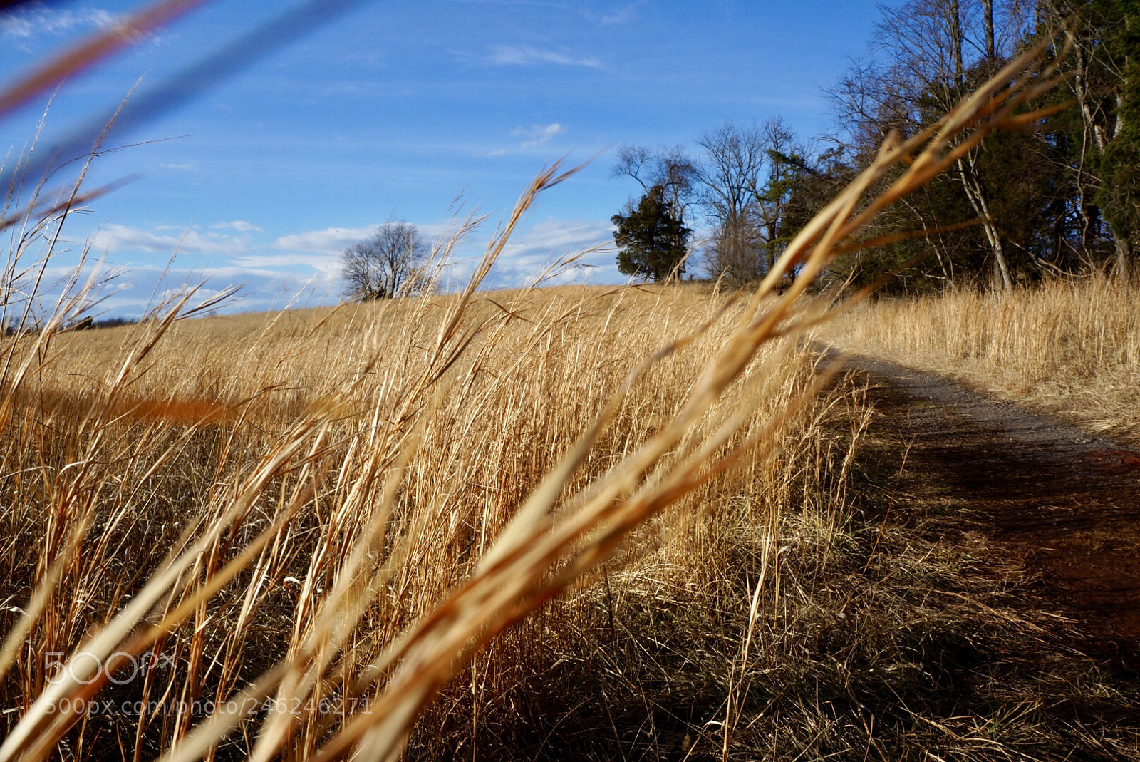 Sony Alpha NEX-5R sample photo. Untitled photography