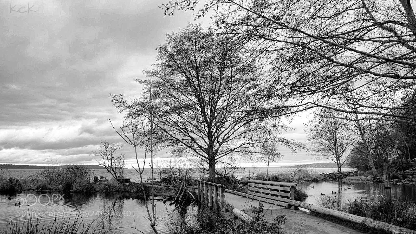 Olympus OM-D E-M10 II sample photo. Winter's day. photography