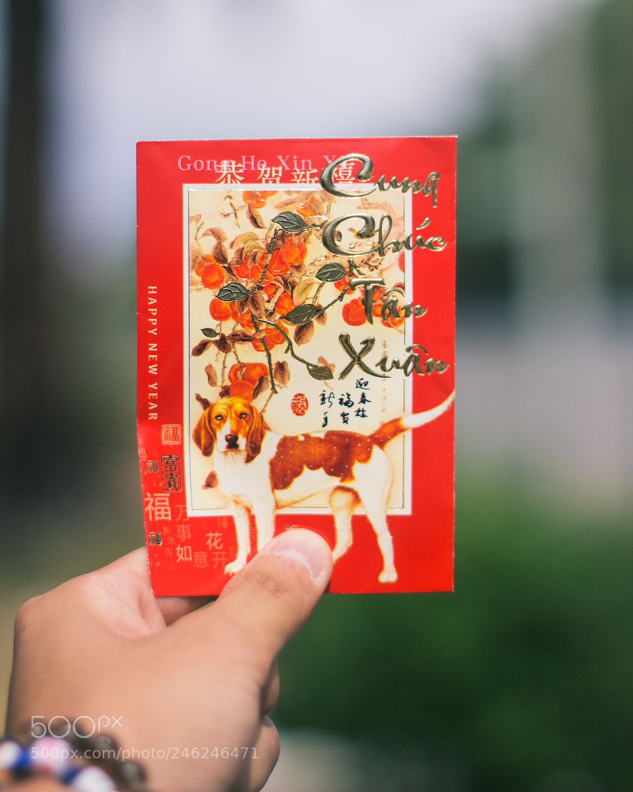 Canon EOS 600D (Rebel EOS T3i / EOS Kiss X5) sample photo. Happy chinese new year! photography