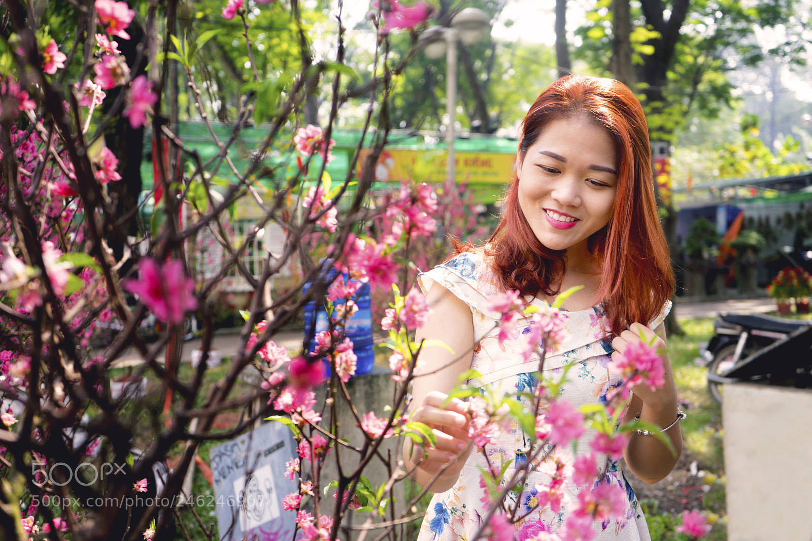 Sony a7 II sample photo. Dsc photography