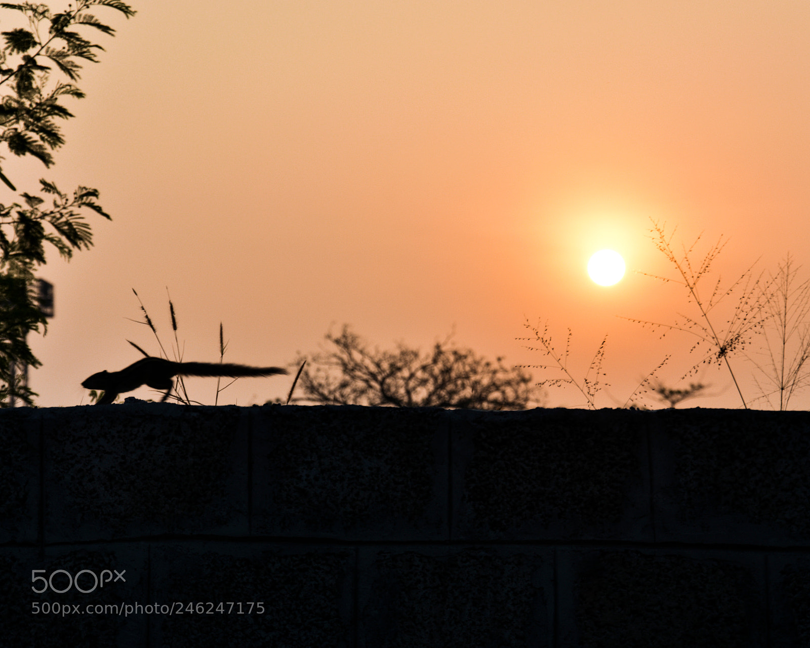 Nikon D7200 sample photo. Unexpected happenings. photography