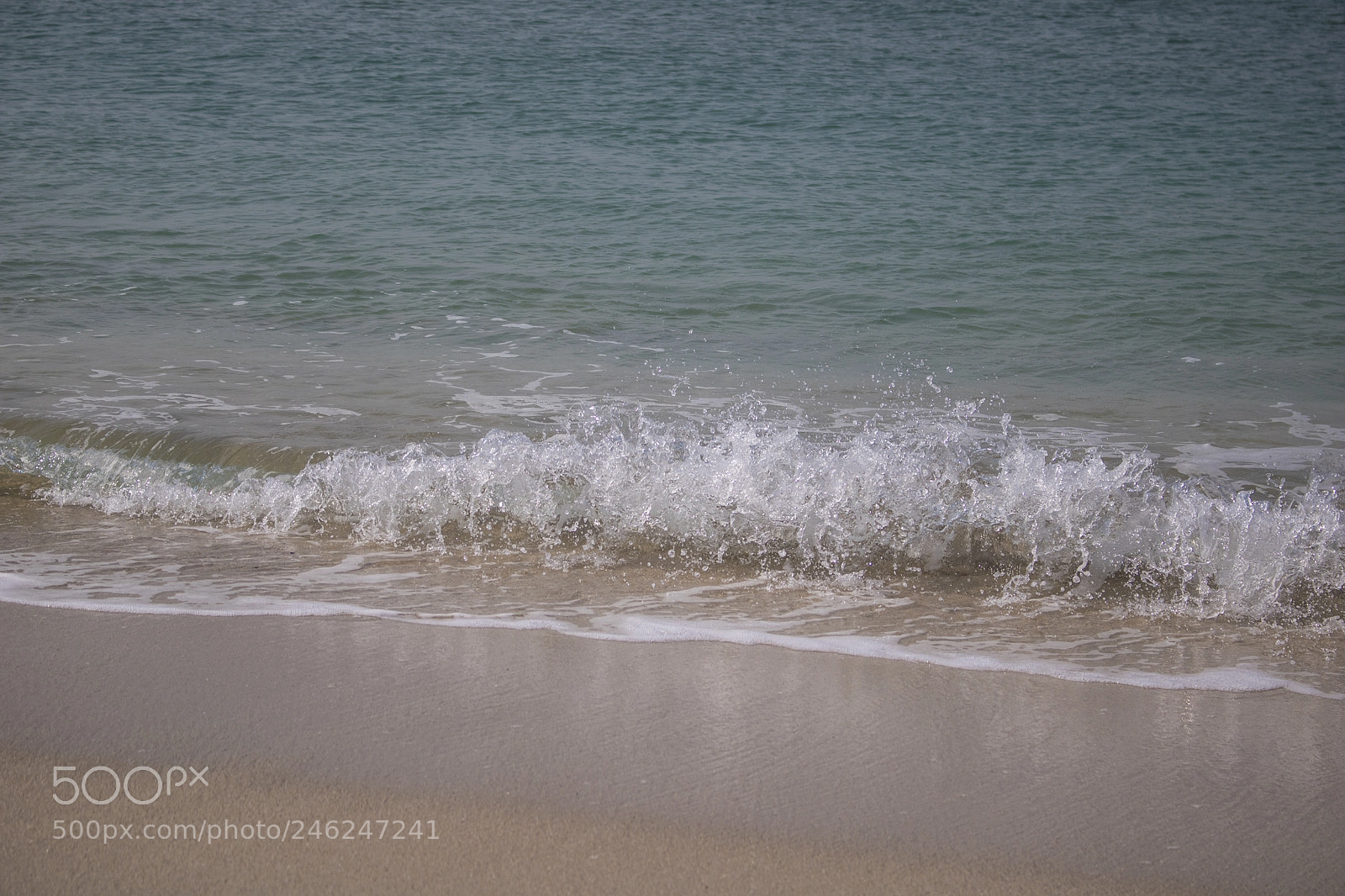 Canon EOS 750D (EOS Rebel T6i / EOS Kiss X8i) sample photo. The waves photography