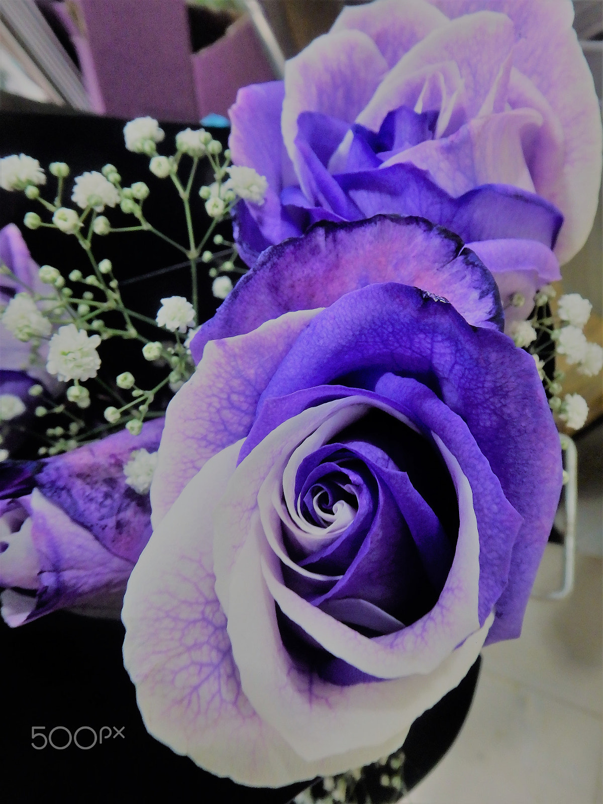 Olympus TG-850 sample photo. 3 photography