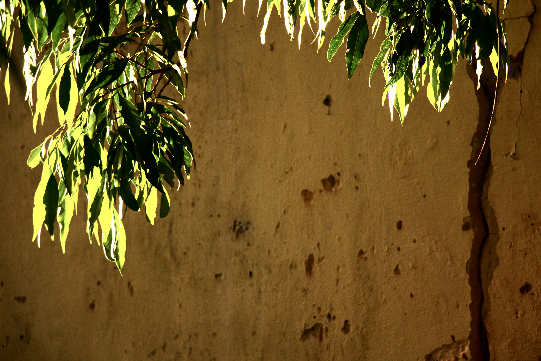 Canon EOS 650D (EOS Rebel T4i / EOS Kiss X6i) sample photo. Hanging photography