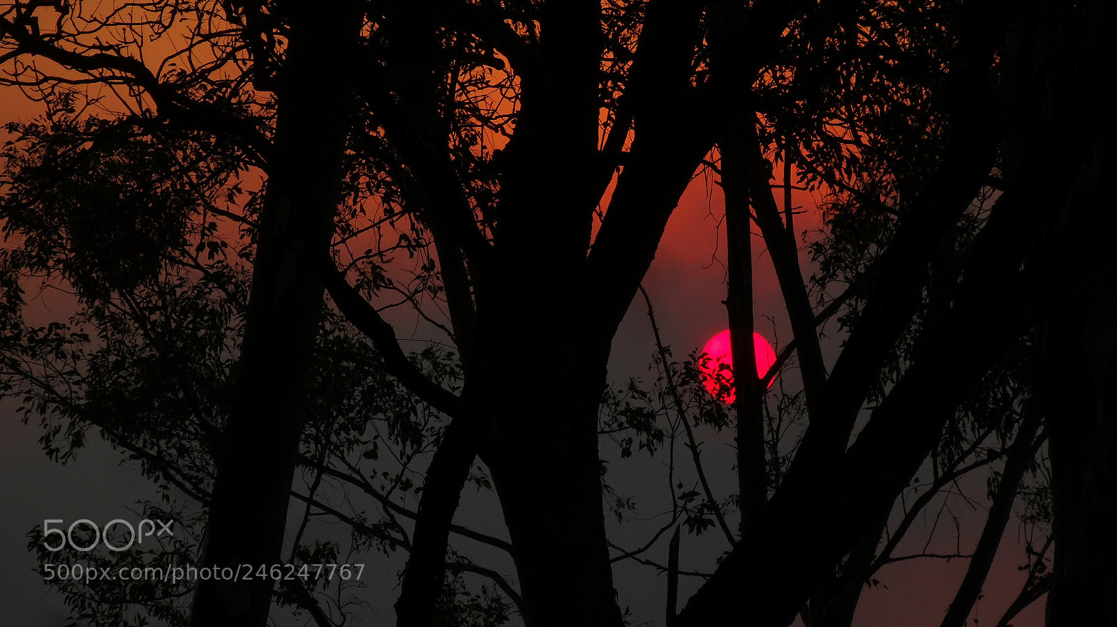 Sony Cyber-shot DSC-HX20V sample photo. Noche roja photography