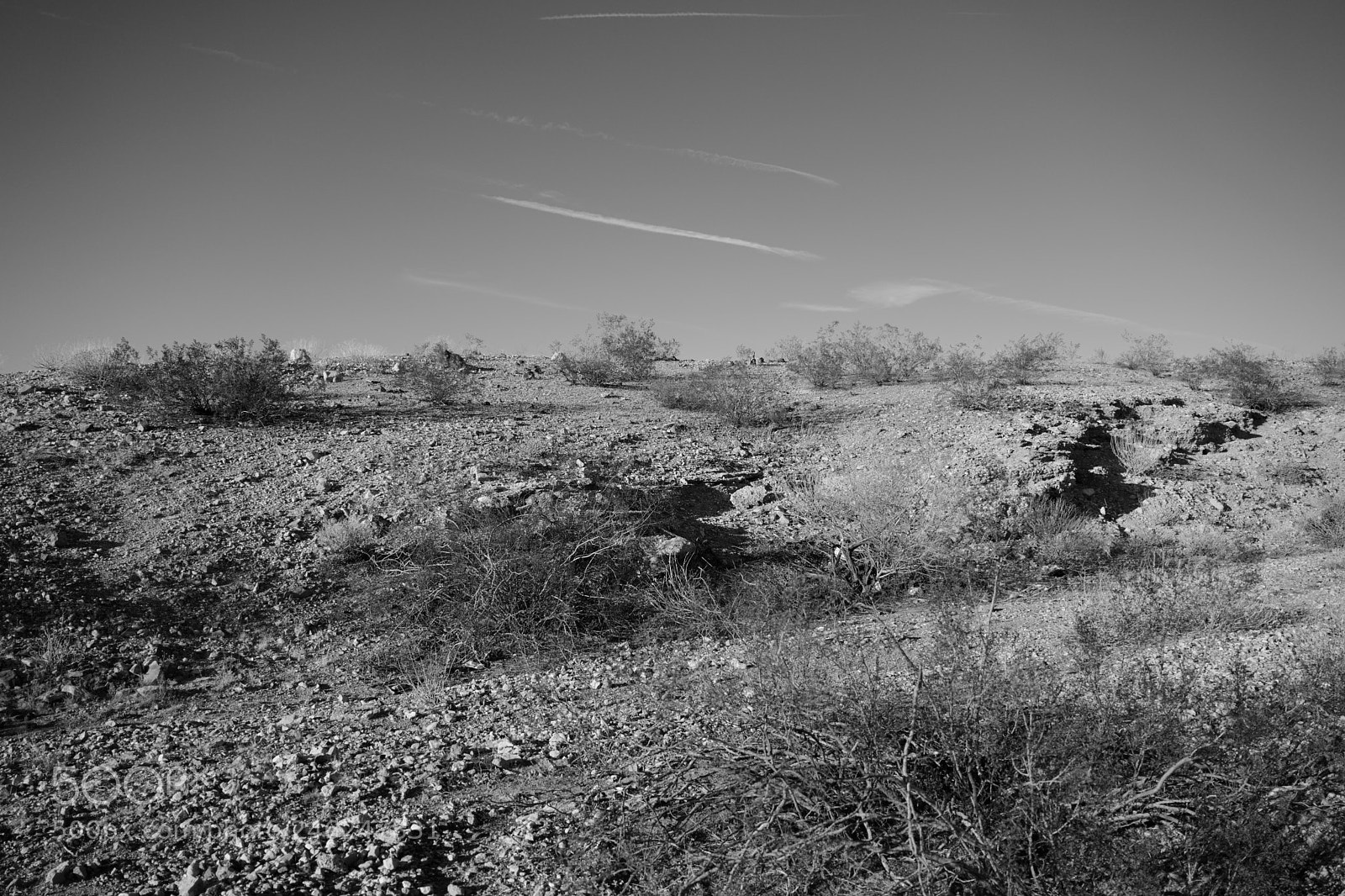 Leica CL sample photo. Arizona today photography