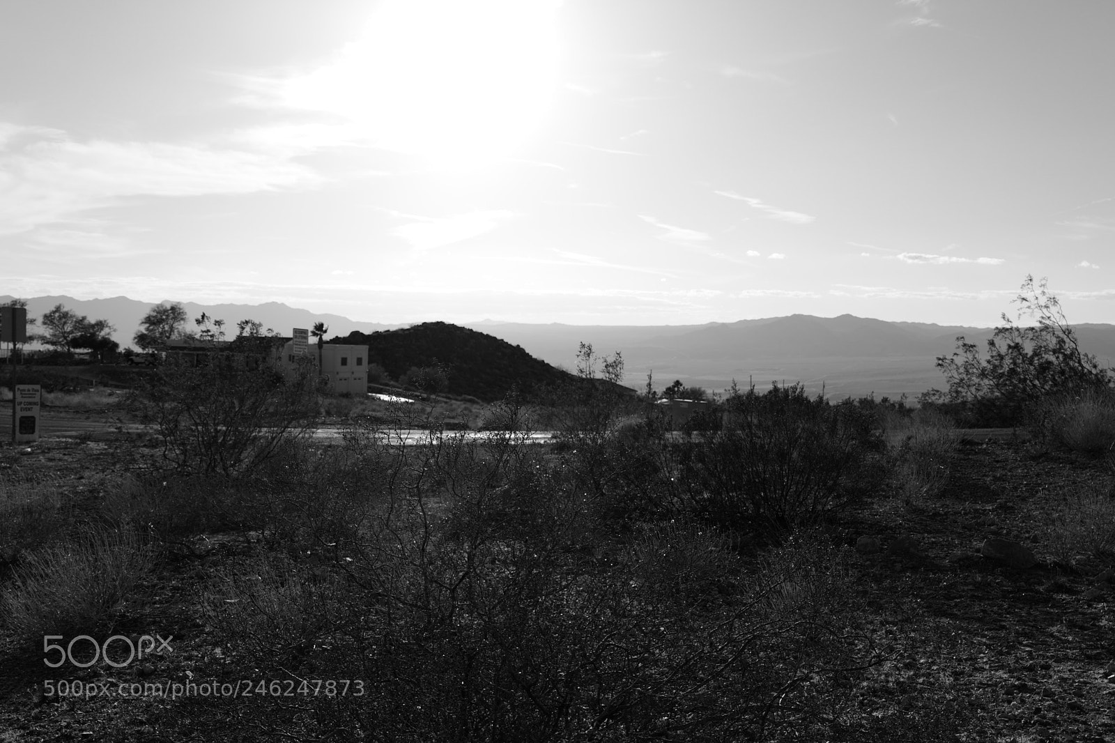 Leica CL sample photo. More arizona photography