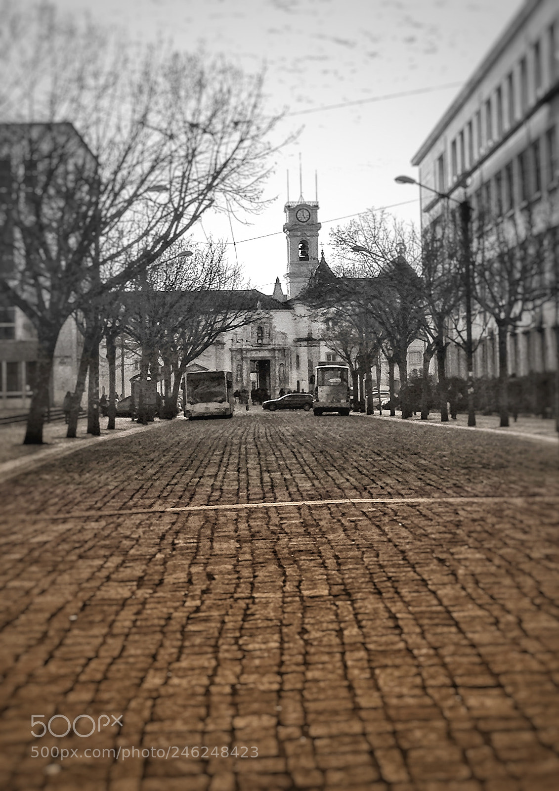 Apple iPhone 5c sample photo. Untitled photography