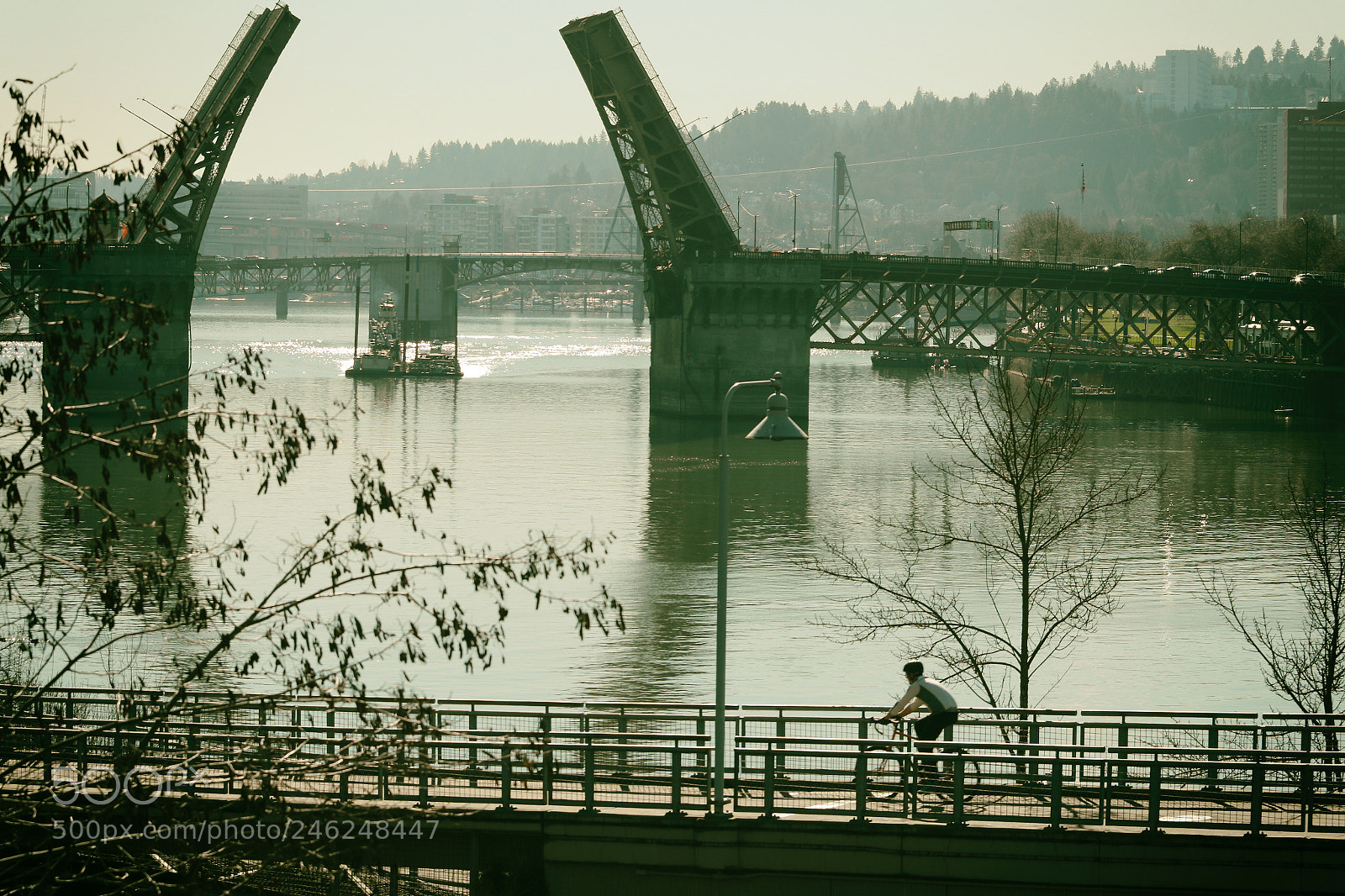 Canon EOS 7D Mark II sample photo. Biketown commute today... photography