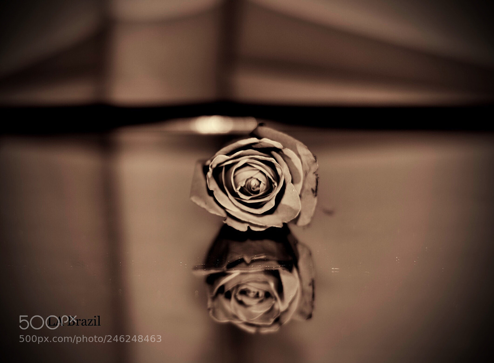 Nikon D610 sample photo. Reflect photography