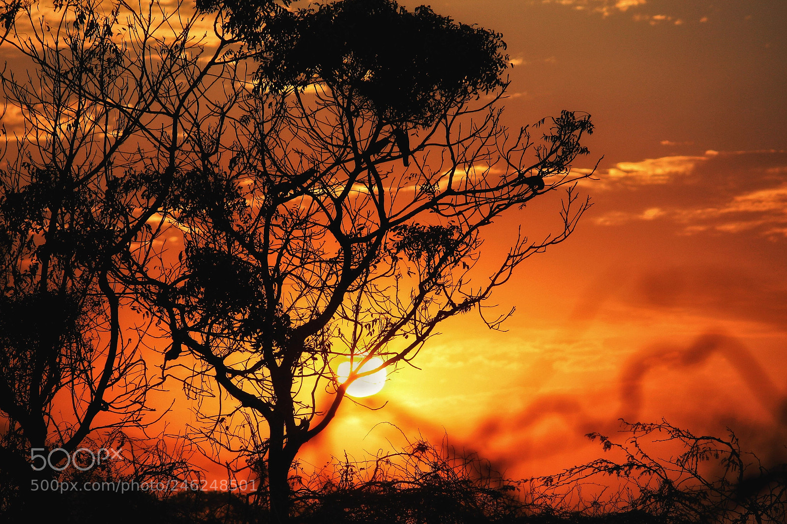 Canon EOS 1300D (EOS Rebel T6 / EOS Kiss X80) sample photo. Beautiful sunset!! photography