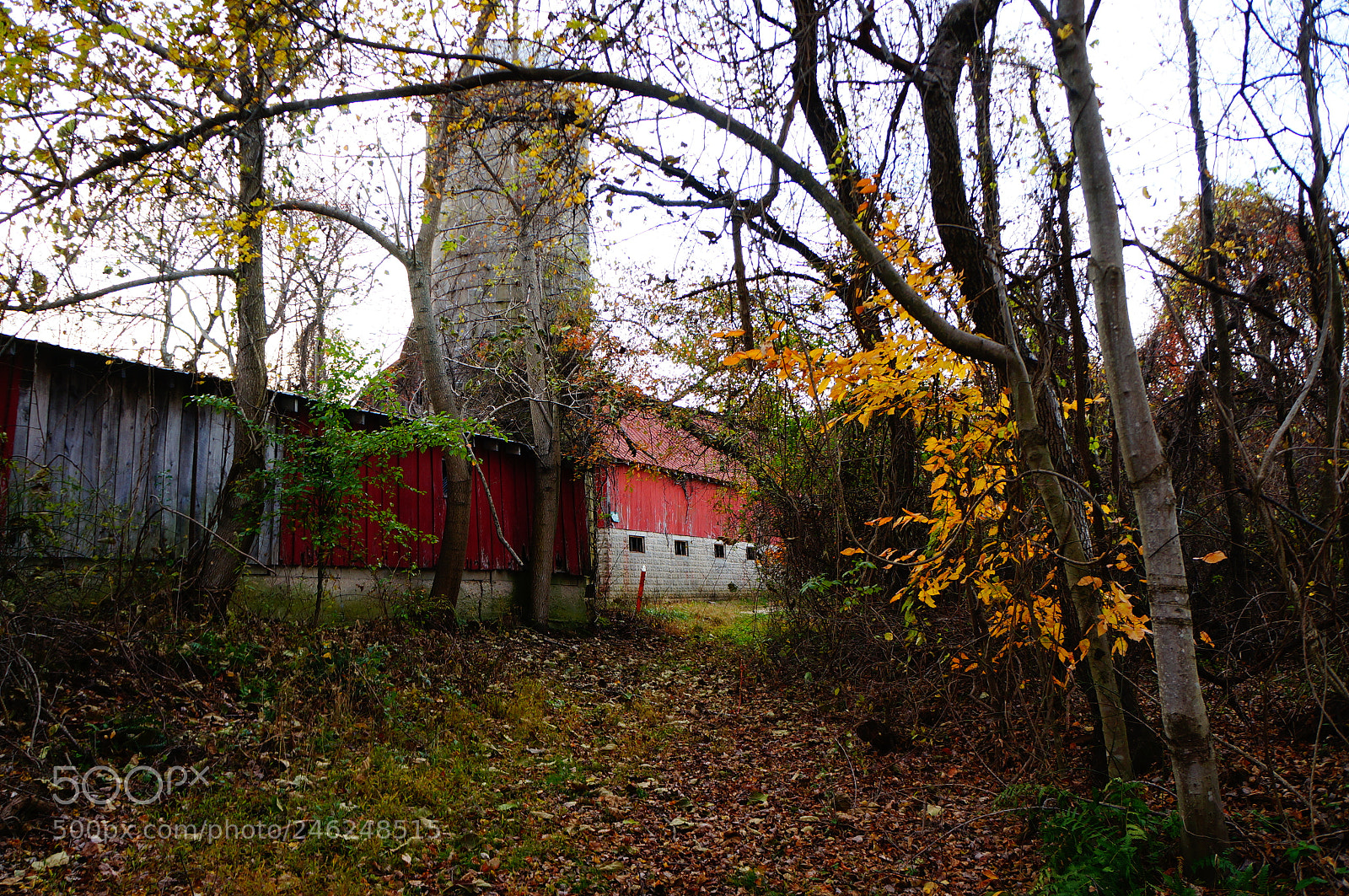 Sony Alpha NEX-5R sample photo. Maryland photography