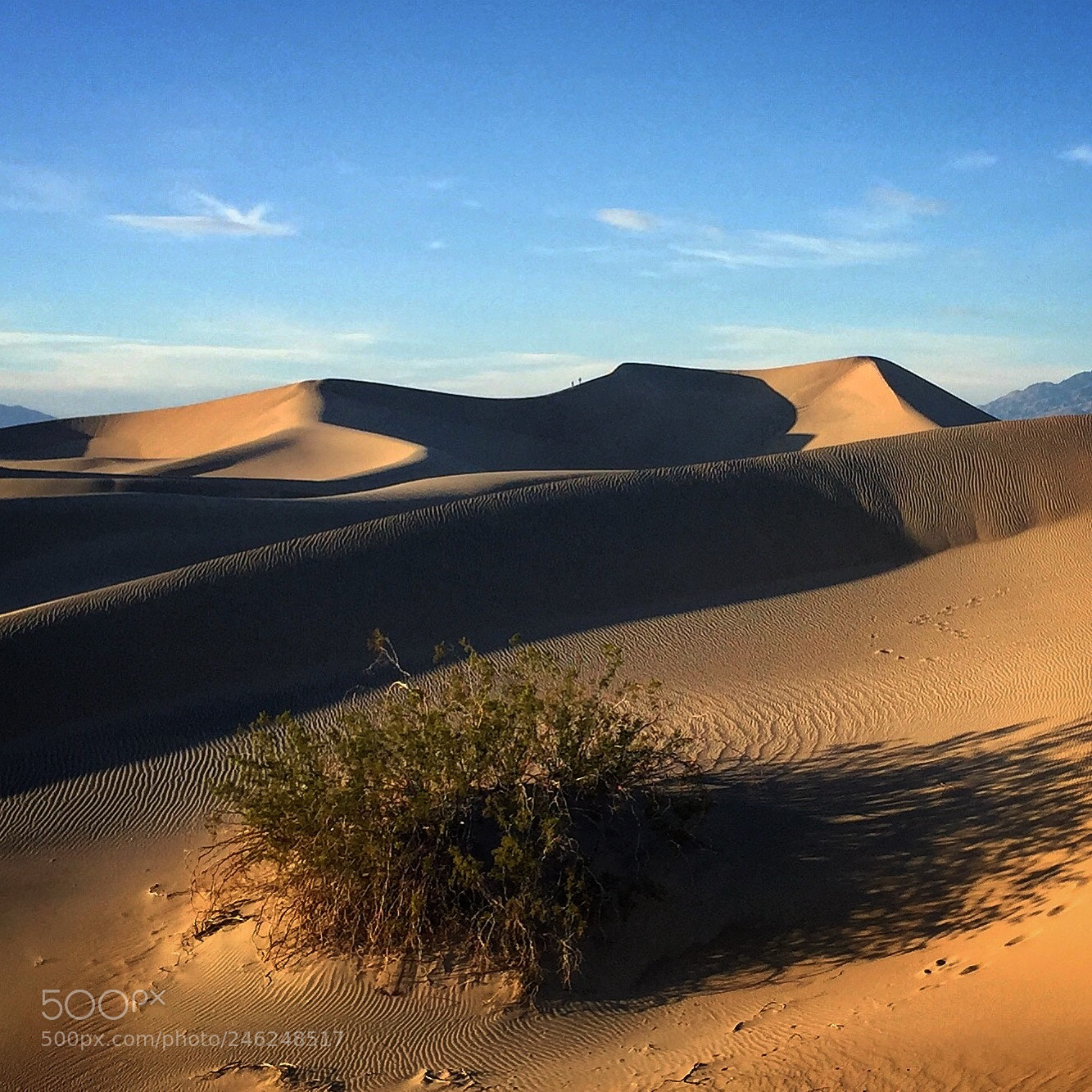 Apple iPhone 6 sample photo. Mesquite flats photography