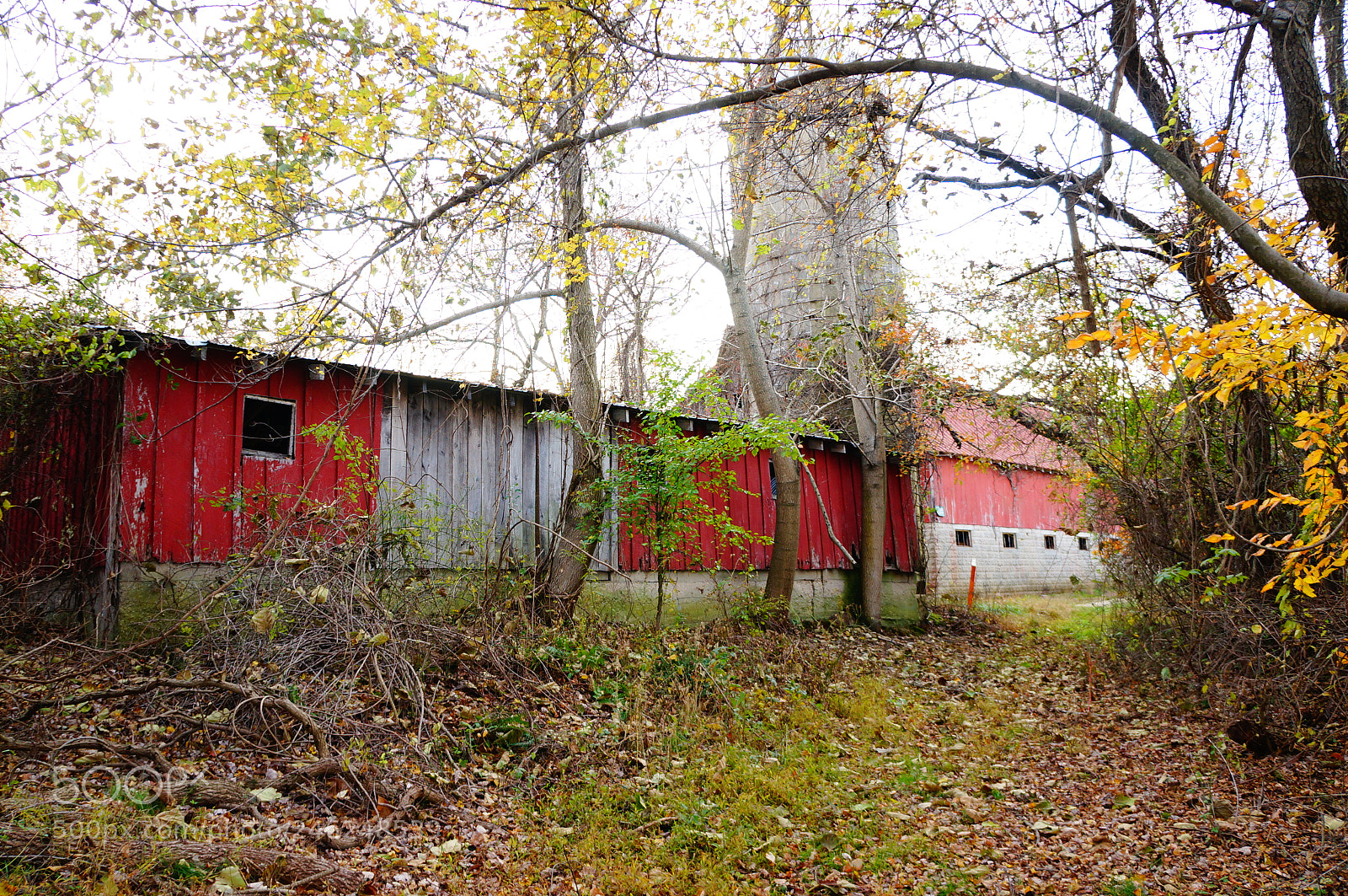 Sony Alpha NEX-5R sample photo. Maryland photography