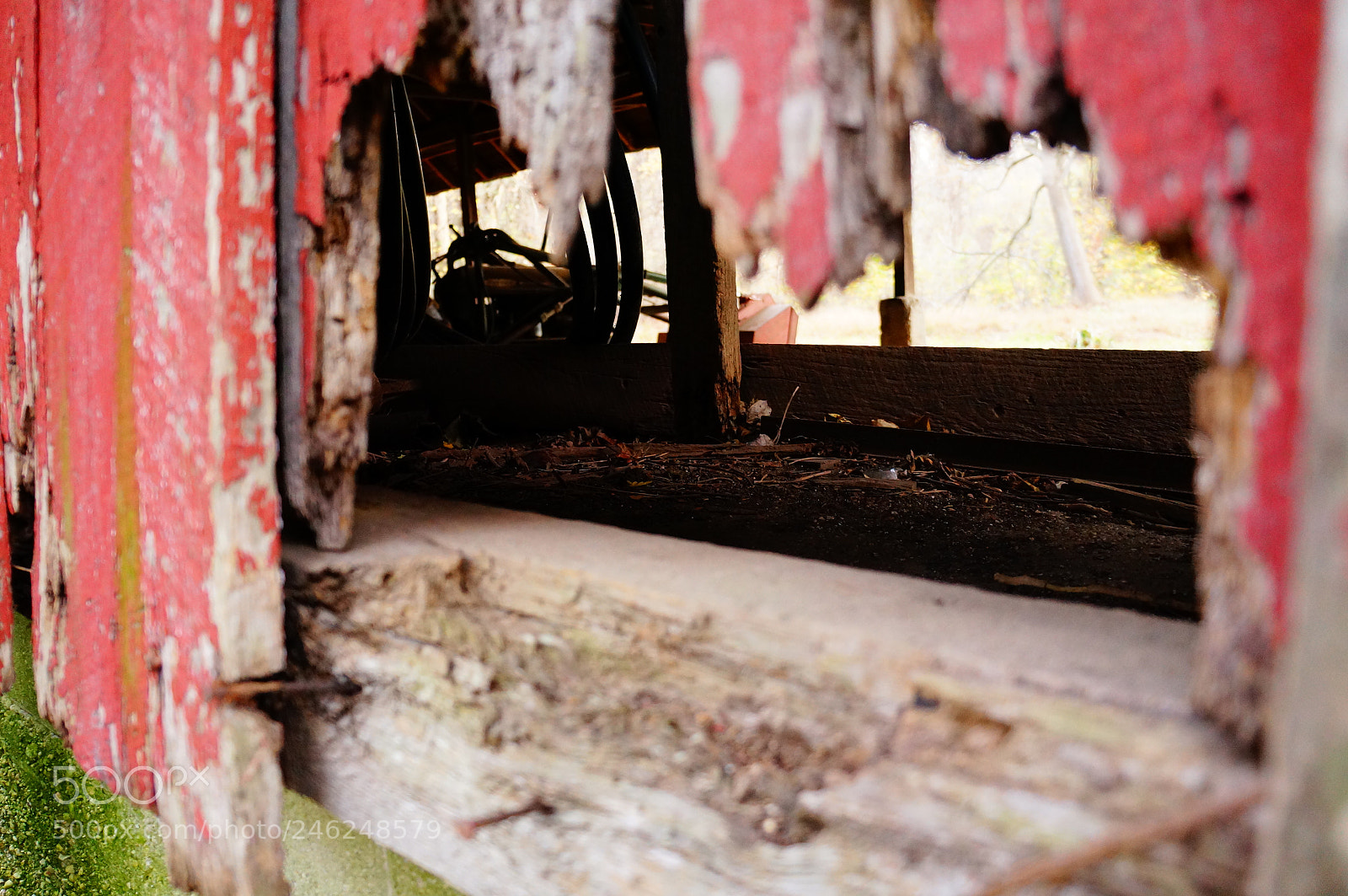 Sony Alpha NEX-5R sample photo. Maryland photography