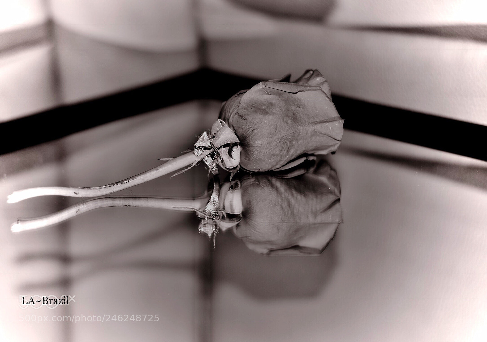Nikon D610 sample photo. Reflect on lifes commitment... photography