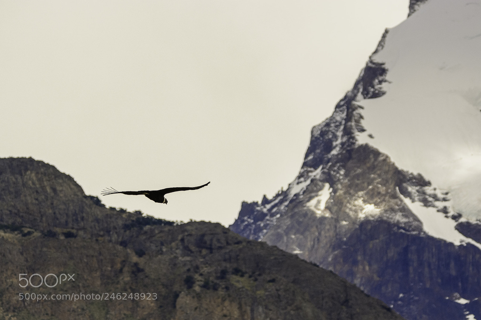 Nikon D7100 sample photo. Sobrevolando patagonia7 photography
