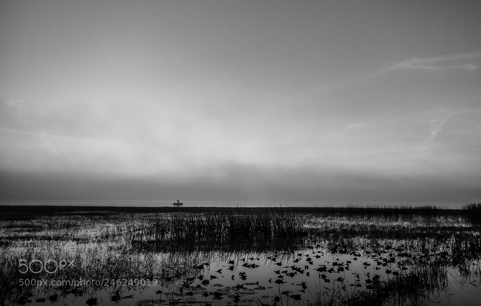 Olympus OM-D E-M1 sample photo. Morning journey photography