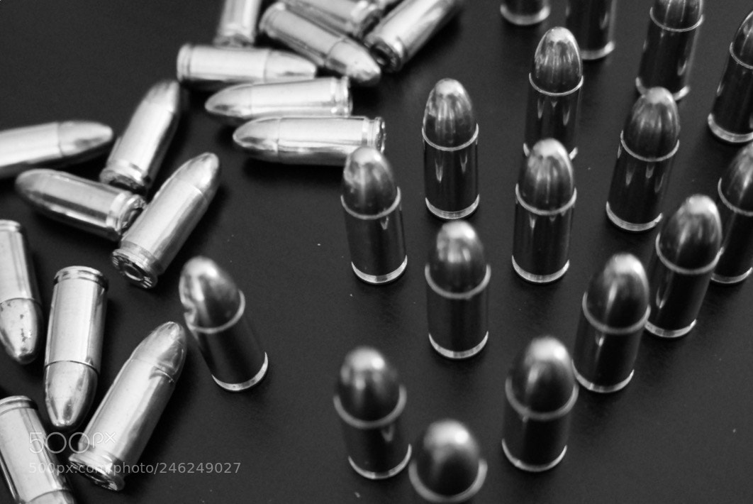 Sony Alpha NEX-5R sample photo. 2nd amendment photography