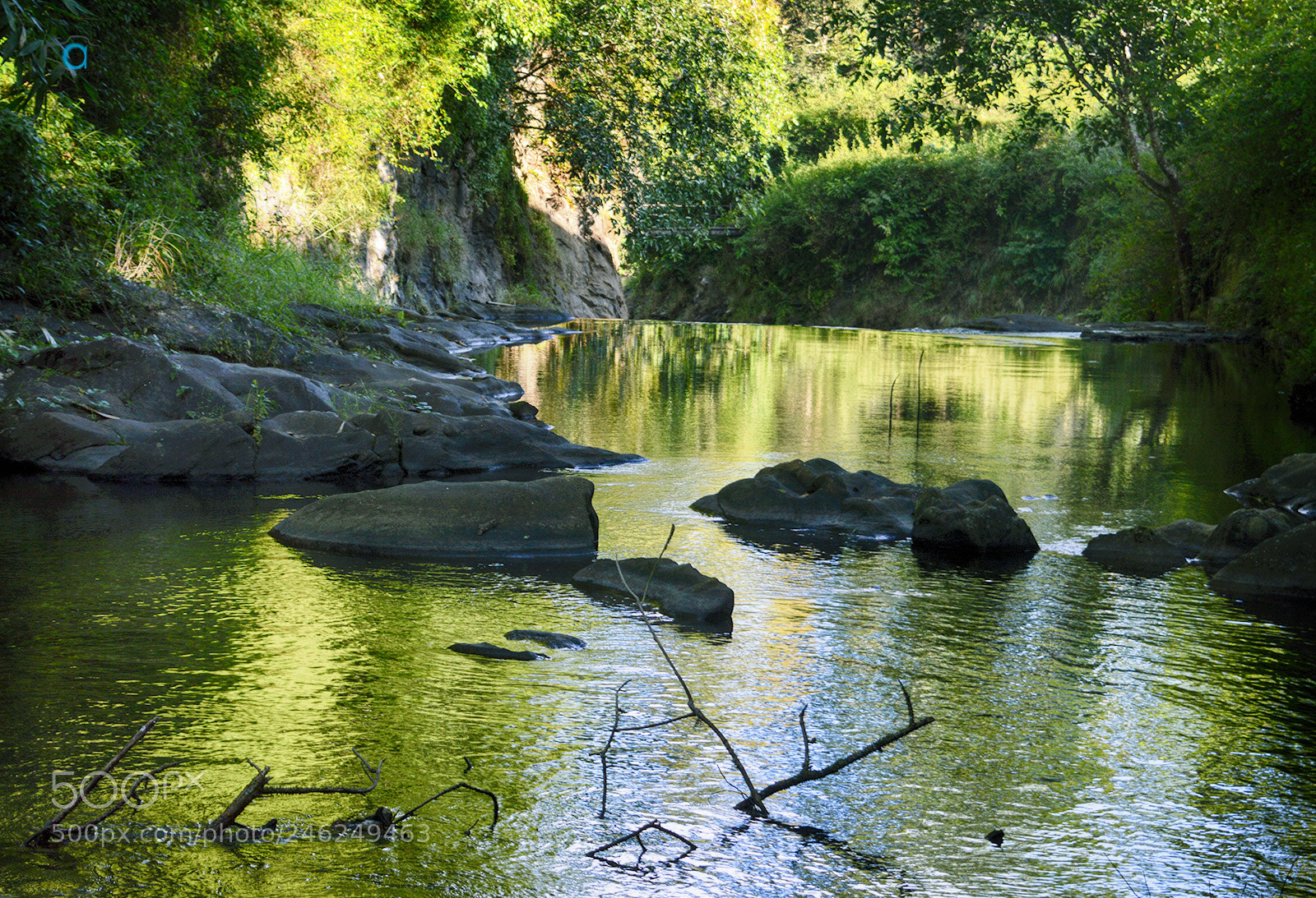 Nikon D3200 sample photo. Manampalli forest photography