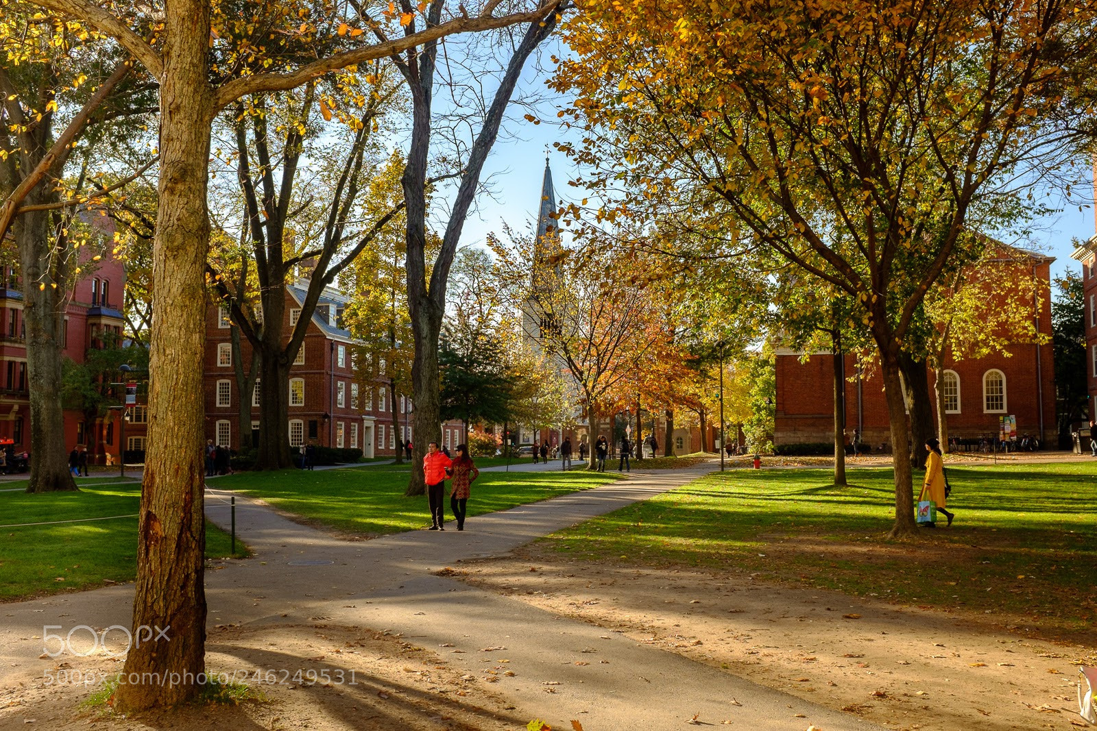 Fujifilm X100S sample photo. Harvard quad, cambridge, massachusetts photography