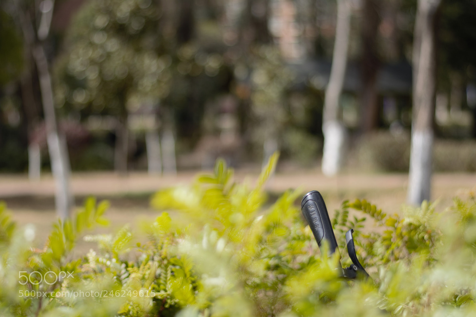 Nikon D5200 sample photo. Sharing bike / shared bike photography
