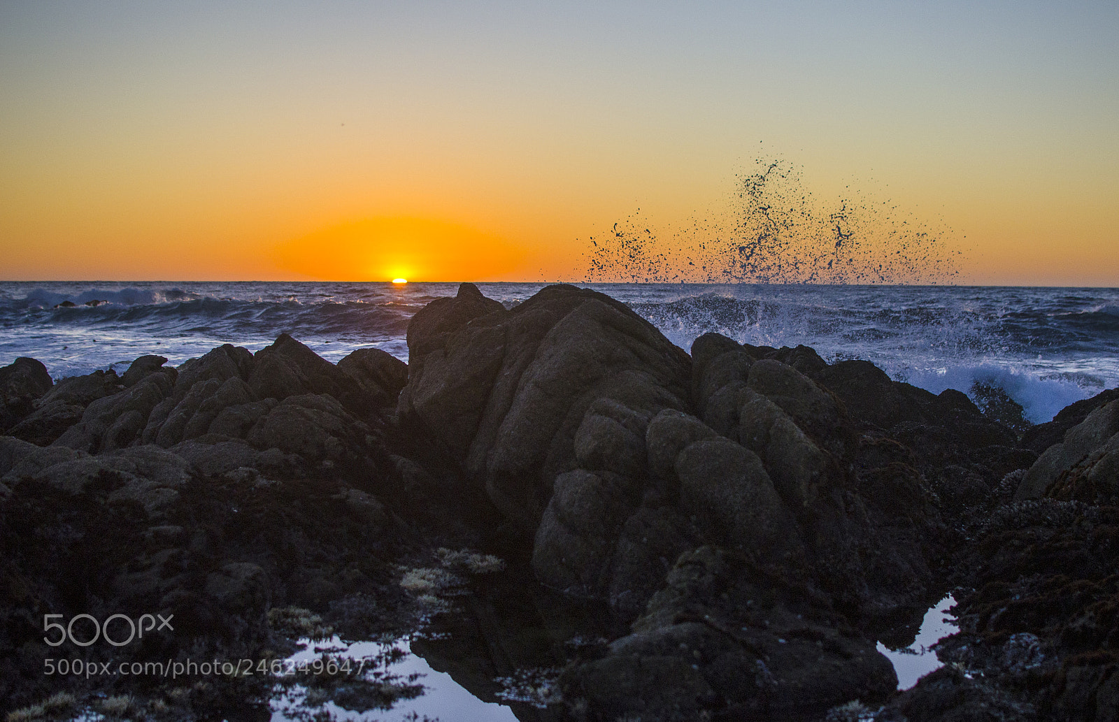 Nikon D5100 sample photo. Splash of sunlight photography