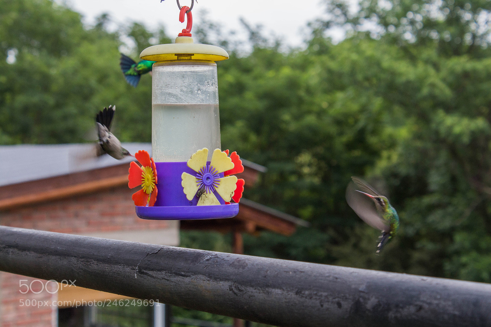 Canon EOS 650D (EOS Rebel T4i / EOS Kiss X6i) sample photo. Mg photography