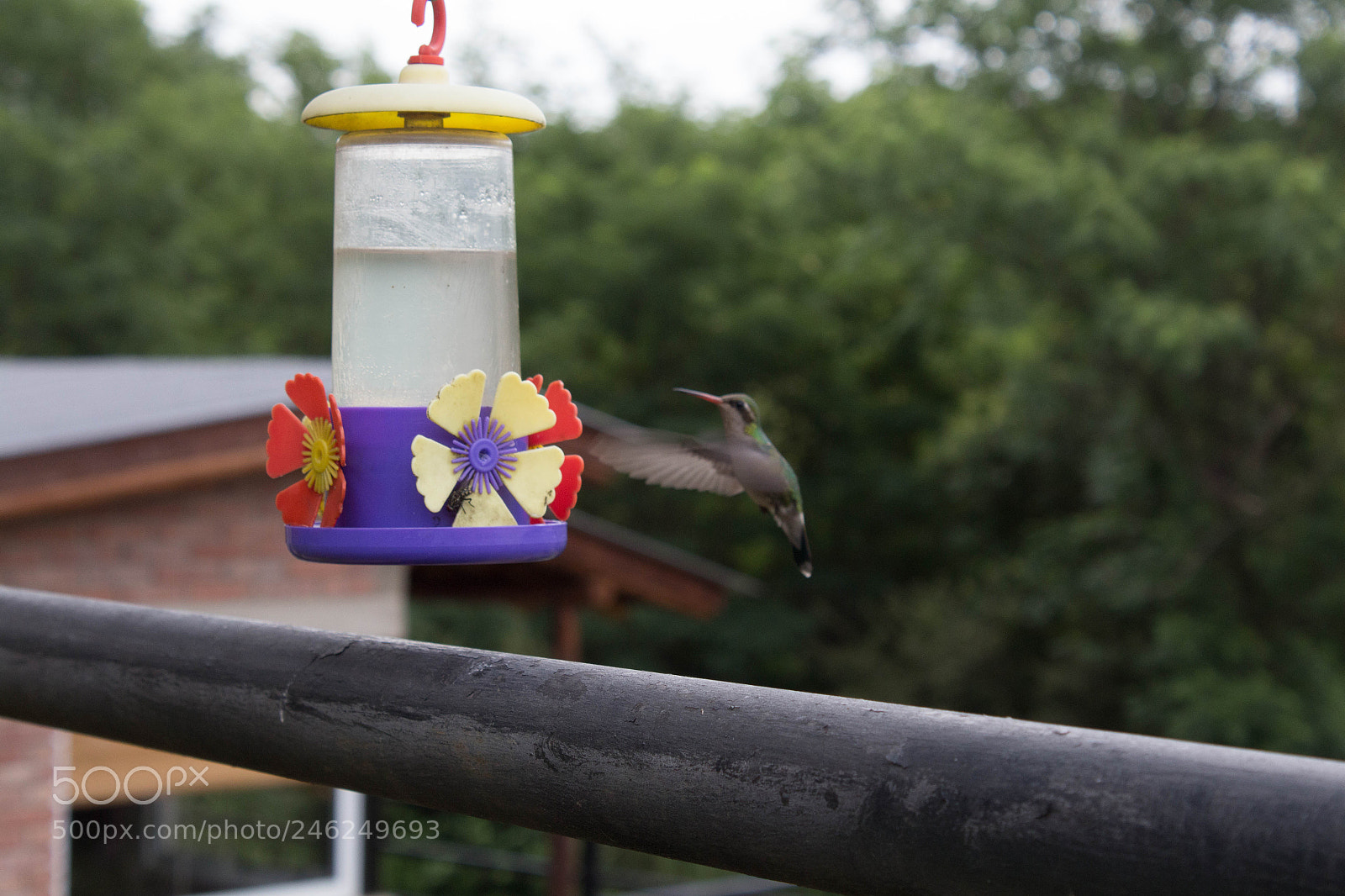 Canon EOS 650D (EOS Rebel T4i / EOS Kiss X6i) sample photo. Mg photography