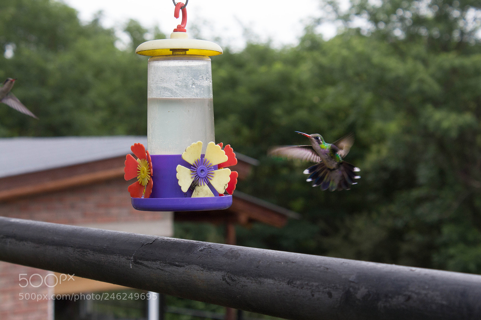 Canon EOS 650D (EOS Rebel T4i / EOS Kiss X6i) sample photo. Mg photography