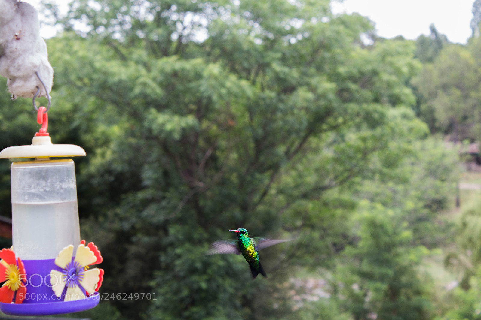 Canon EOS 650D (EOS Rebel T4i / EOS Kiss X6i) sample photo. Mg photography