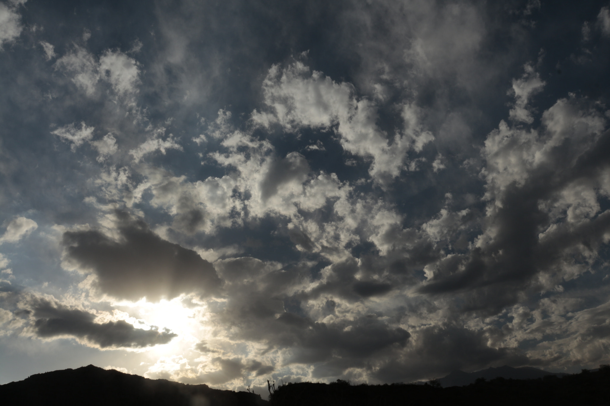 Canon EF-S 18-55mm F3.5-5.6 IS sample photo. Mg photography