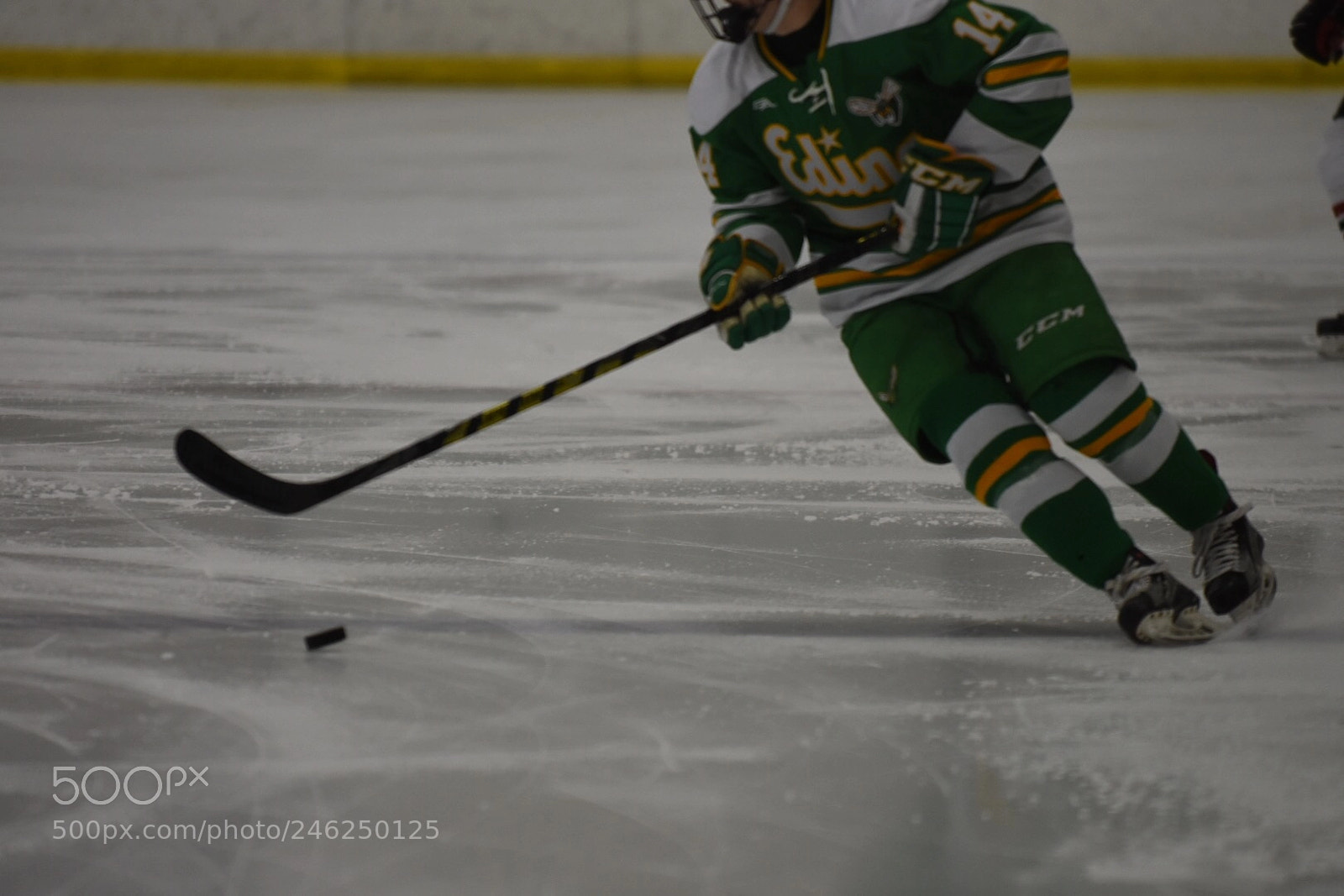 Nikon D7200 sample photo. Untitled photography