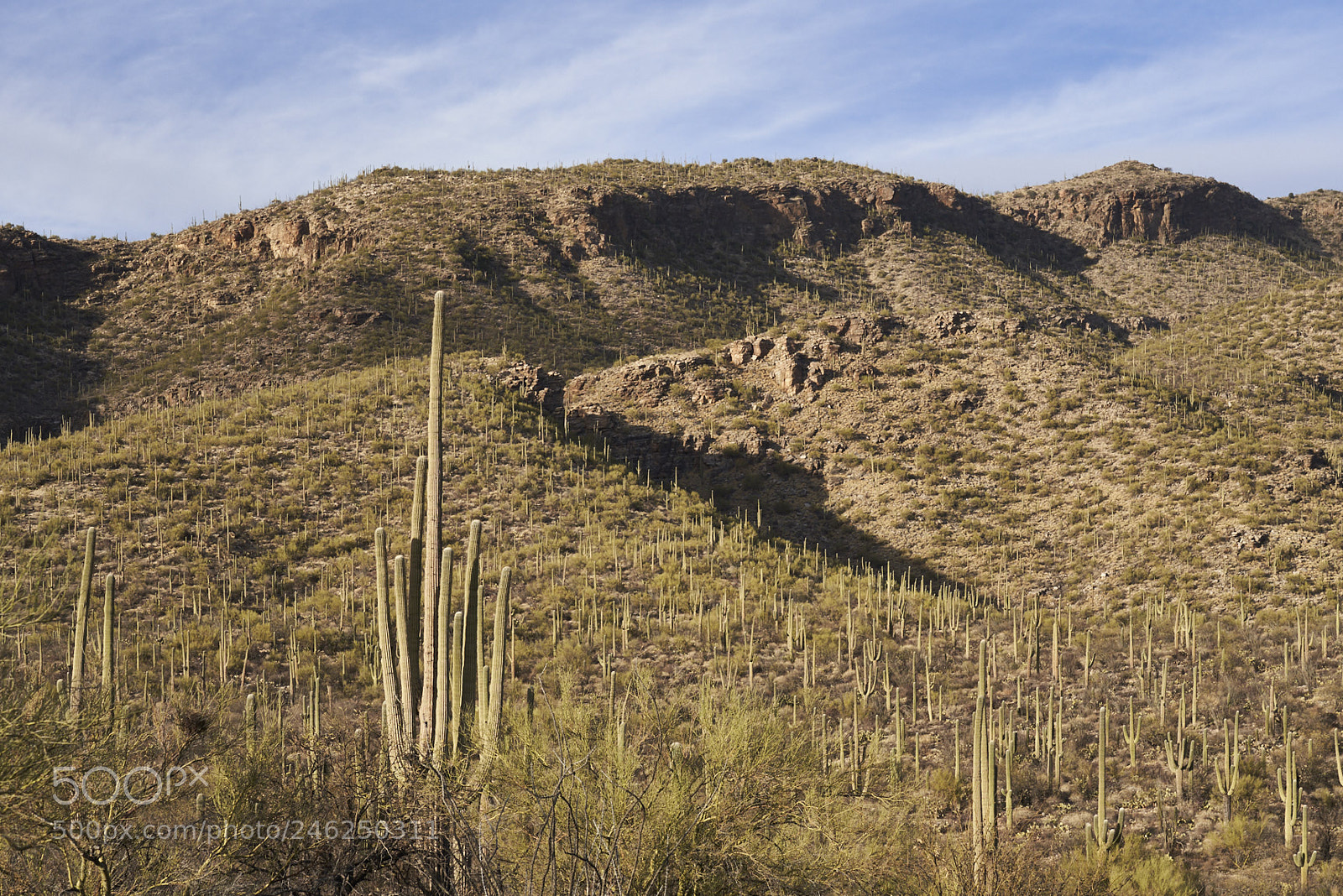 Sony a7R III sample photo. Bear canyon photography