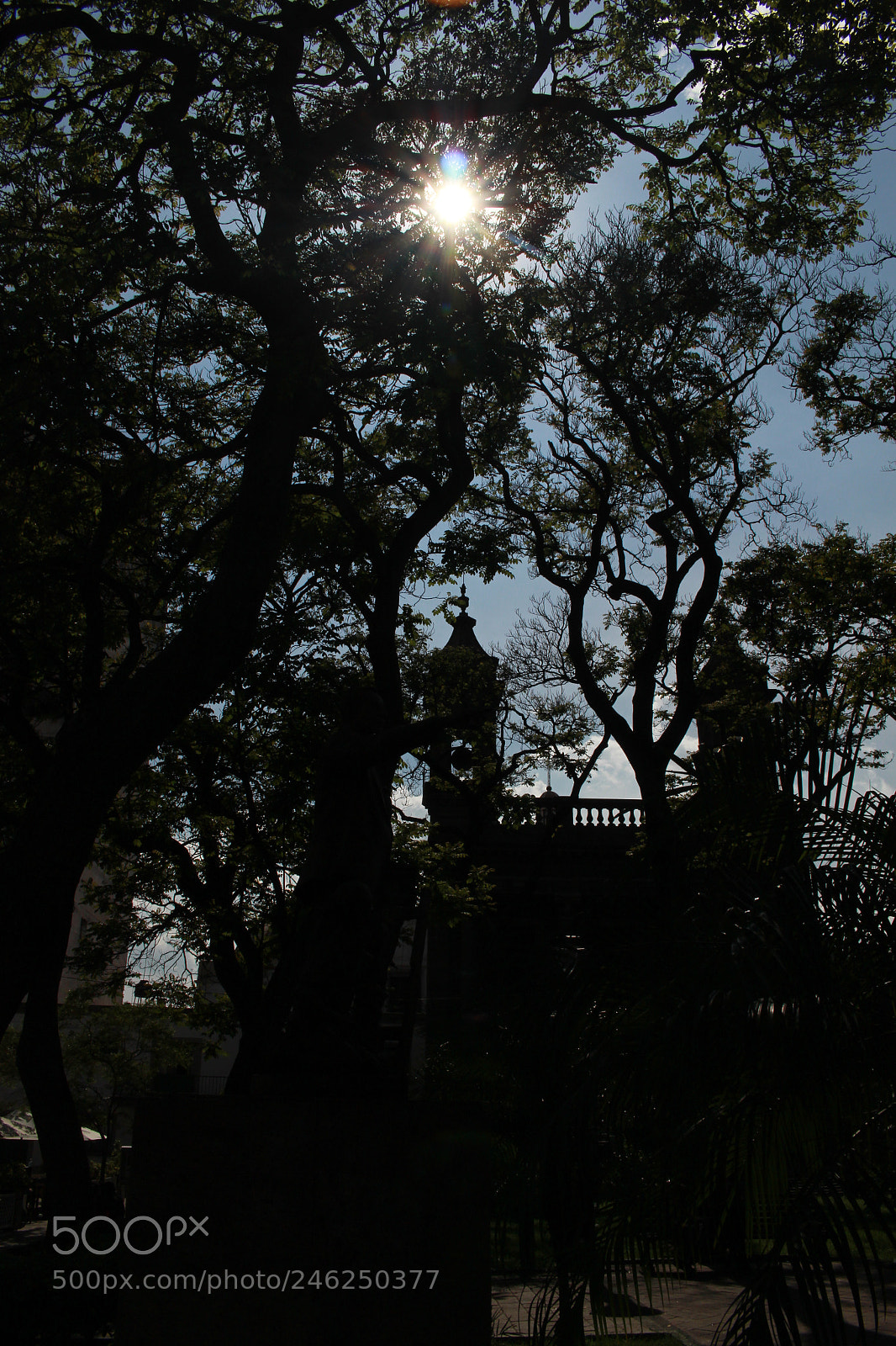 Canon EOS 700D (EOS Rebel T5i / EOS Kiss X7i) sample photo. Vida y religión photography