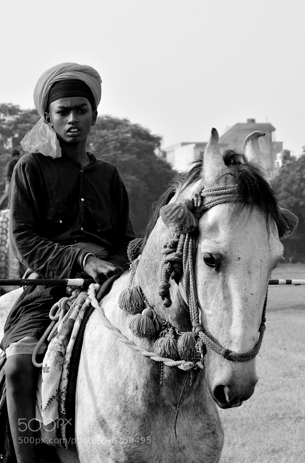 Nikon D5200 sample photo. Horse rider photography