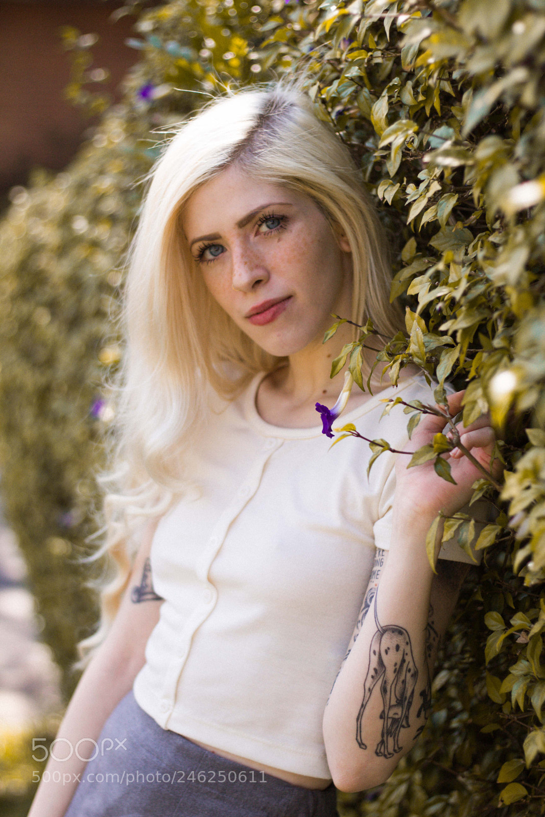Canon EOS 600D (Rebel EOS T3i / EOS Kiss X5) sample photo. @ohserenna photography