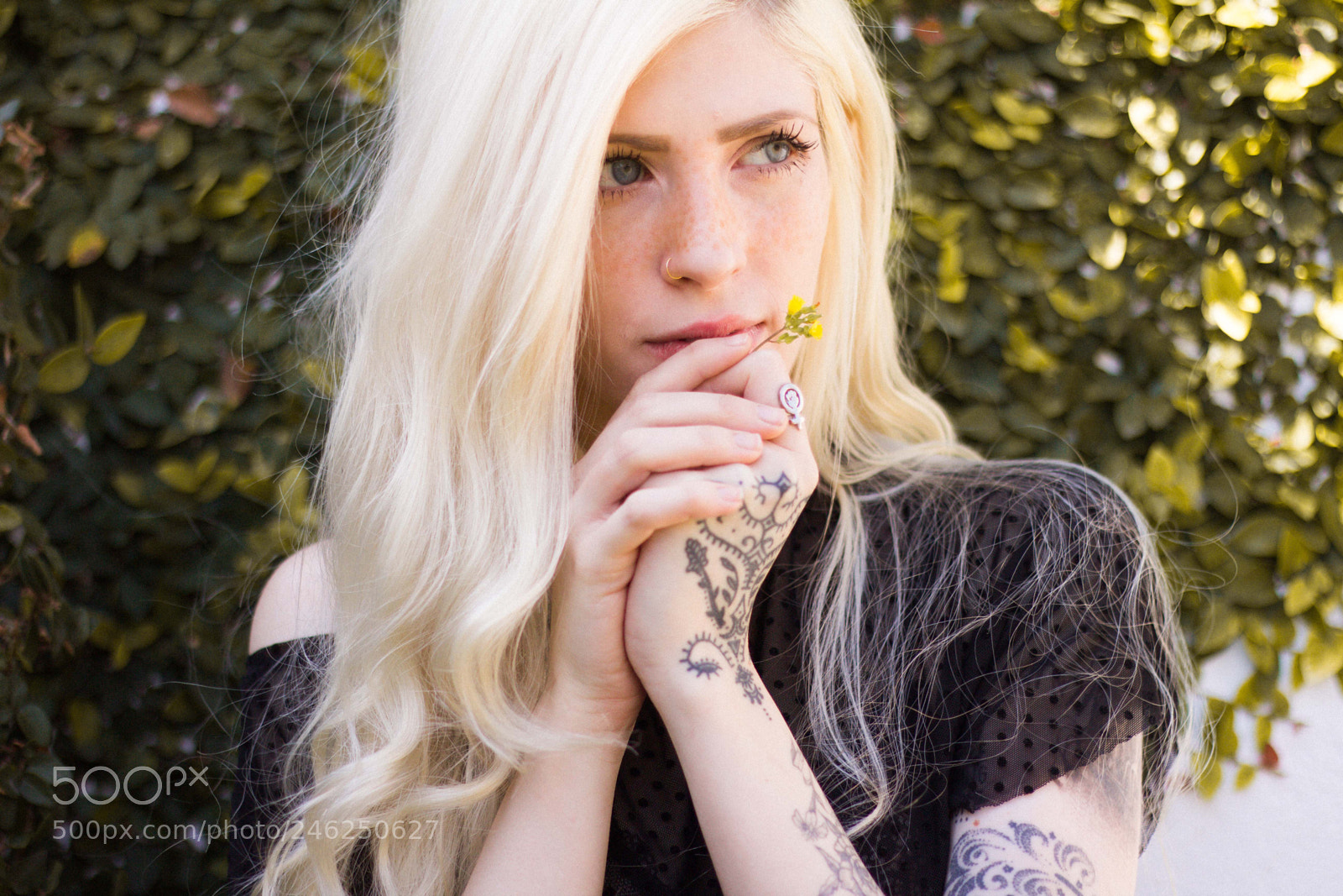 Canon EOS 600D (Rebel EOS T3i / EOS Kiss X5) sample photo. @ohserenna photography